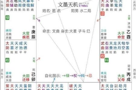 紫薇斗数太阴禄存