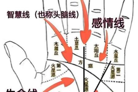 手相算命图解事业线