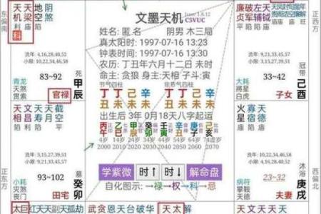 紫薇斗数博士入财帛