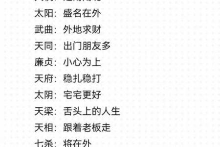 紫薇斗数天府男