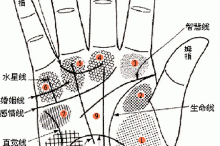 凯帝阿手相算命图解大全07