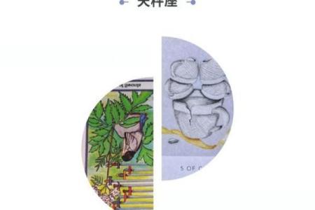 如何从对方手臂上看出星座