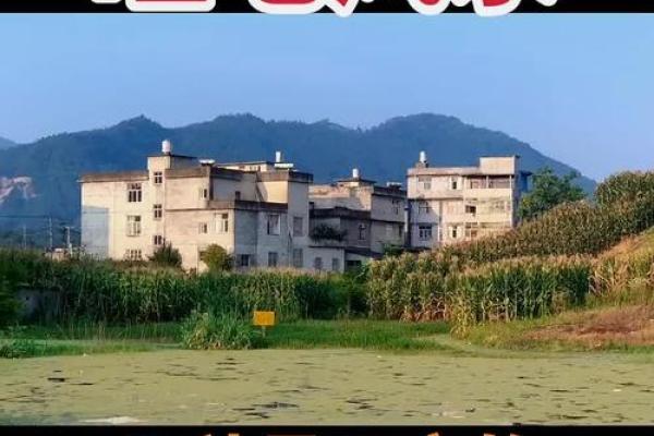 城市阳宅风水大全 助你招财改运保平安