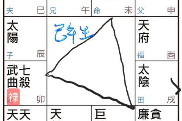 紫薇斗数官禄宫天府