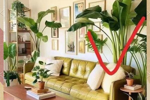 风水：客厅绝对不能摆放的东西