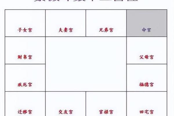 紫薇斗数看胖瘦