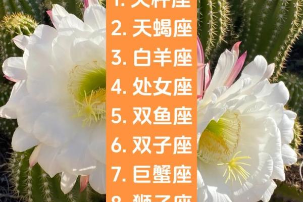 十二星座哪个是天秤座的人 十二星座哪个是天秤座的人