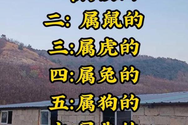 属虎和属鼠的八字合吗 属虎和属鼠的八字合吗