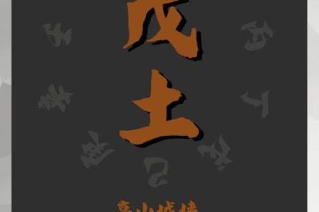 八字天干同时有戊己土