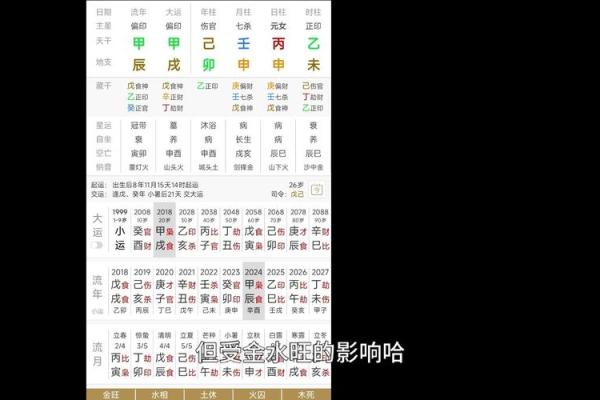 白龙八字 白龙八字
