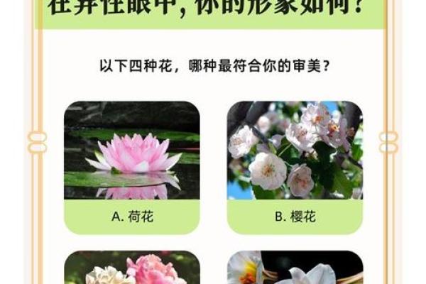 心理测试:四种青菜,哪种你更喜欢?测你这辈子是什么命格? 心理测试:四种青菜,哪种你更喜欢?测你这辈子是什么命格?