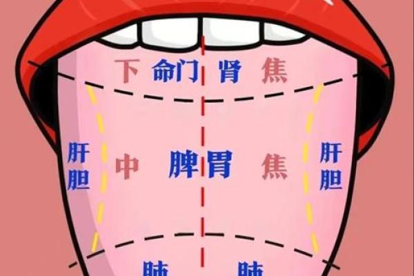 算命要防口舌是什么意思 算命要防口舌是什么意思