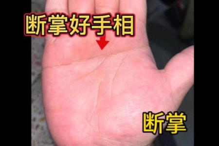 手相风水右手断掌的女人旺夫吗