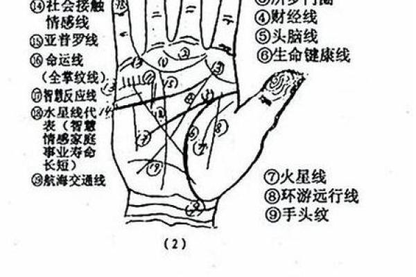 罕见的掌纹手相算命和图解
