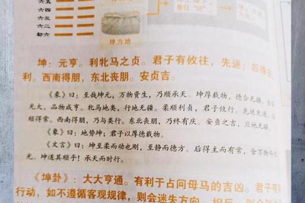 紫微斗数之八卦万物类象:坤卦详解 紫微斗数之八卦万物类象:坤卦详解