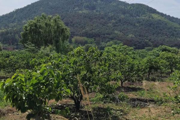 山地风水利用自然环境改善生活质量