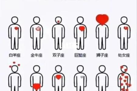 水瓶座的合适星座