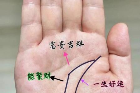 罕见的掌纹手相算命和图解
