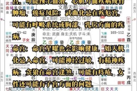 紫微斗数之岁限的经验论断：岁限应注意的几种凶格