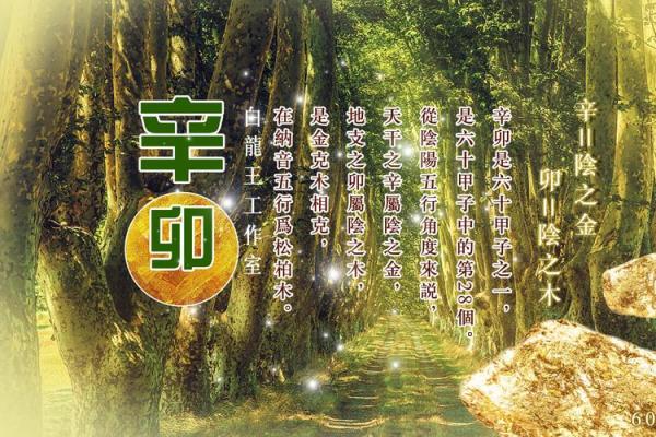 白龙王在线算命  白龙王算命网