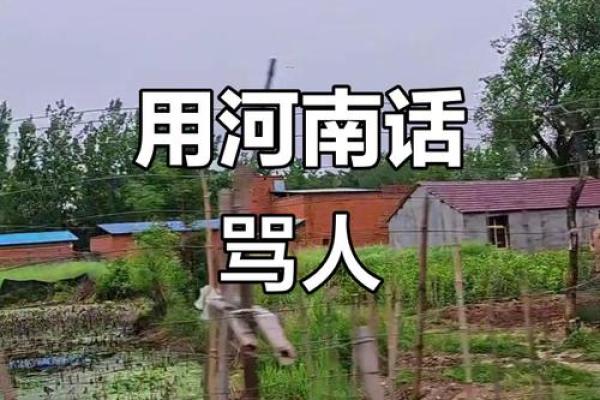 河南俩算命先生为争地盘吵架,围观者感叹可以算别人不能算自己? 河南俩算命先生为争地盘吵架,围观者感叹可以算别人不能算自己?