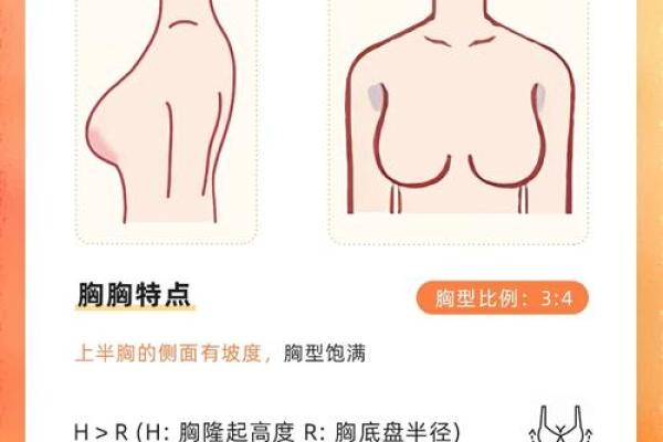 什么是八字奶 什么是八字奶