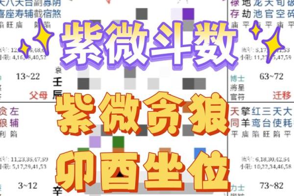 紫薇斗数贪狼