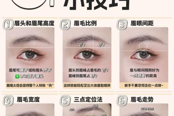 三角眉毛的面相算命图解
