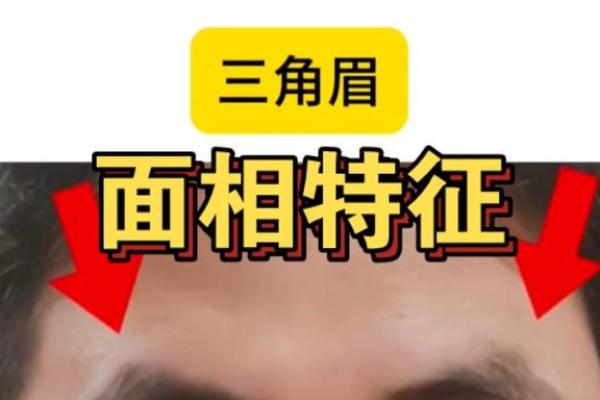 三角眉毛的面相算命图解