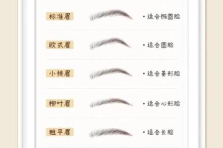 卧蚕眉面相算命图解