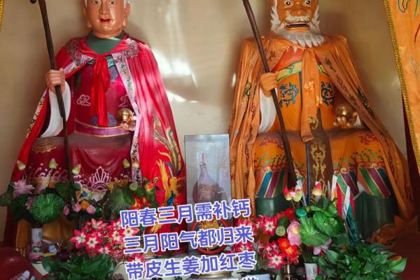 老太太算命真实案例