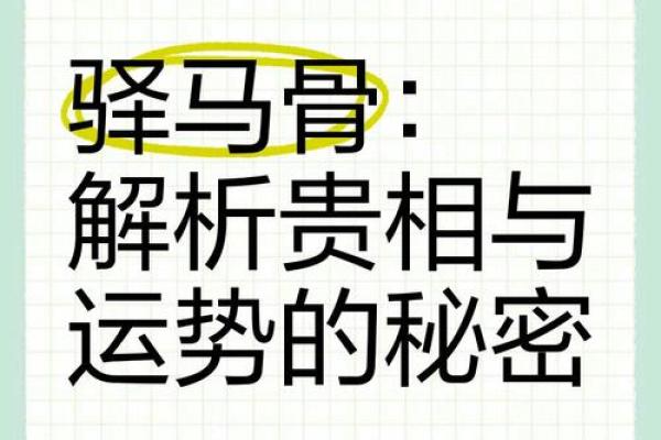 风水男人带驿马好不好什么意思