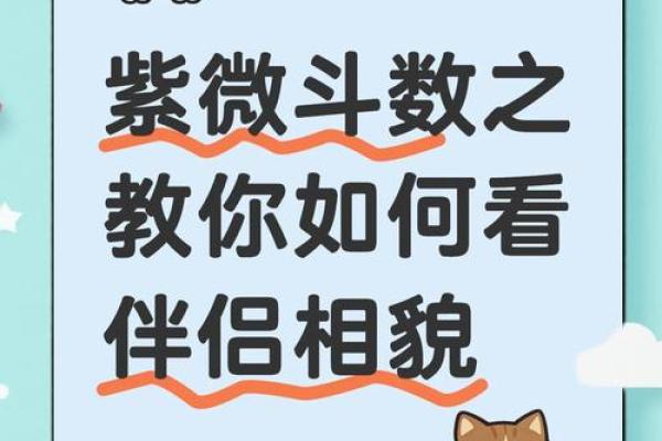 紫薇斗数看配偶样貌 紫薇斗数看配偶样貌