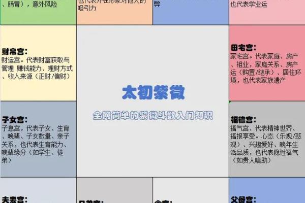 怎么解紫薇斗数