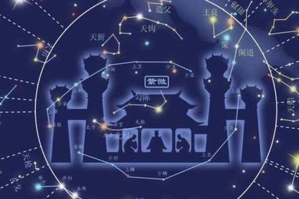 紫薇星君转世动画