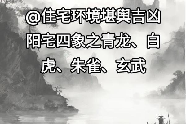 麻雀与房子风水有关吗