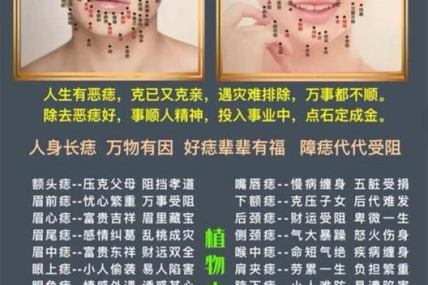 嘴唇痣面相算命图解