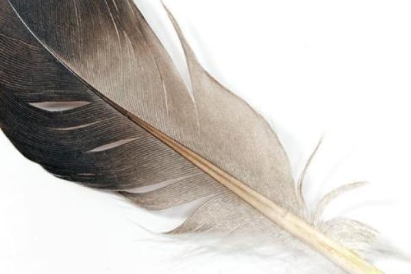 灵签占卜下半年收获 灵签占卜下半年收获