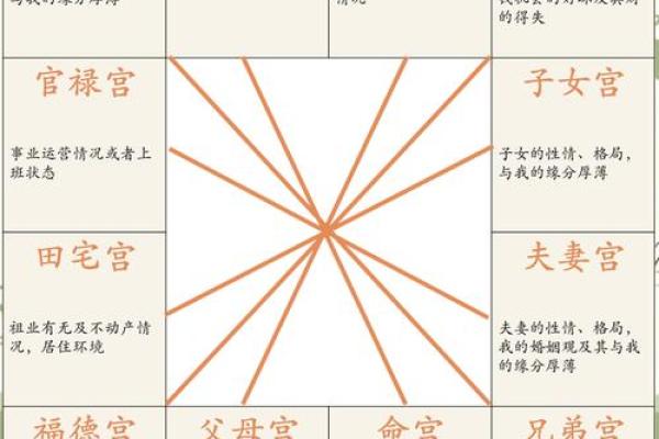 紫薇斗数代表什么