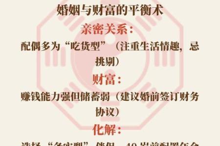 双食神八字查法详解：掌握五行属性，洞彻运势走向