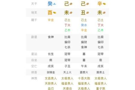 八字排盘算命破解版