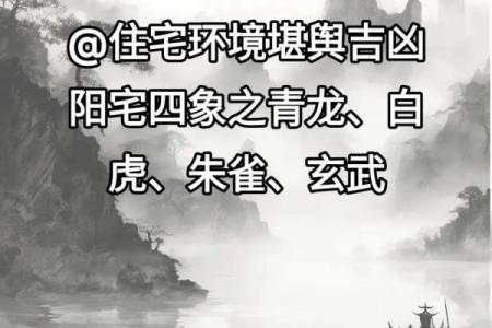 麻雀与房子风水有关吗