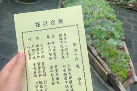 吕祖灵签49签解签什么签