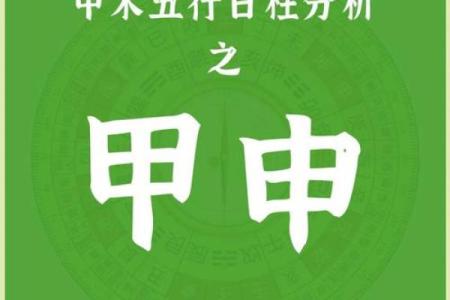 甲木八字