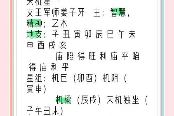 天星算命是 天星算命是