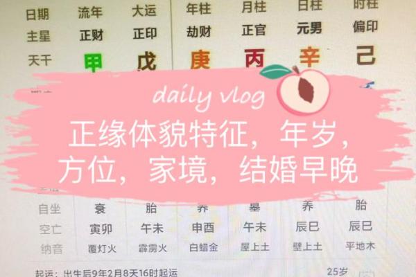 八字单项简批说明