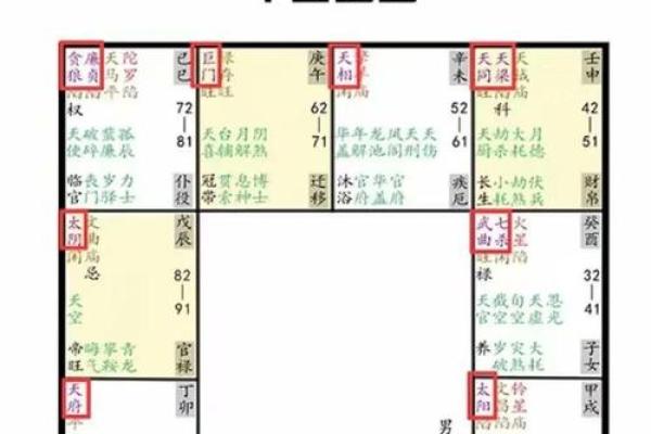 紫薇斗数测算婚姻运：幸运紫薇主星，超有婆婆缘