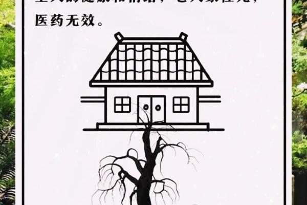 为什么房子周围不能有风水
