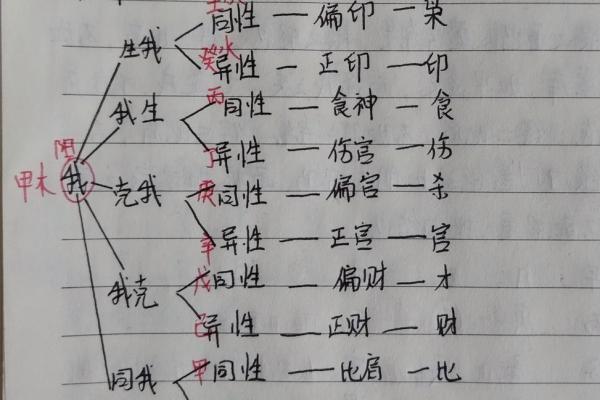 详解八字命盘中的十神关系及其作用