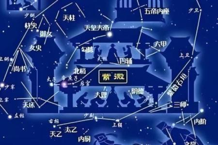 紫薇星斗命宫看长相